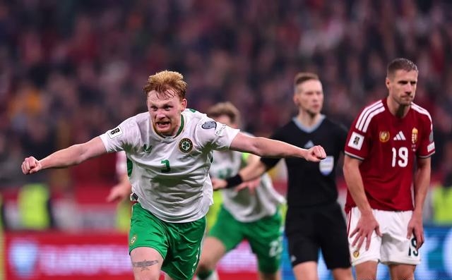 匈牙利队主场击败对手，豪取胜利