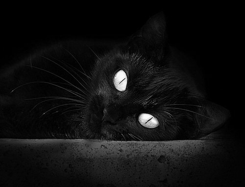 当加勒比海风遇上中美洲绿茵，贝林厄姆的统治级数据如何点亮哥斯达黎加对阵牙买加之战